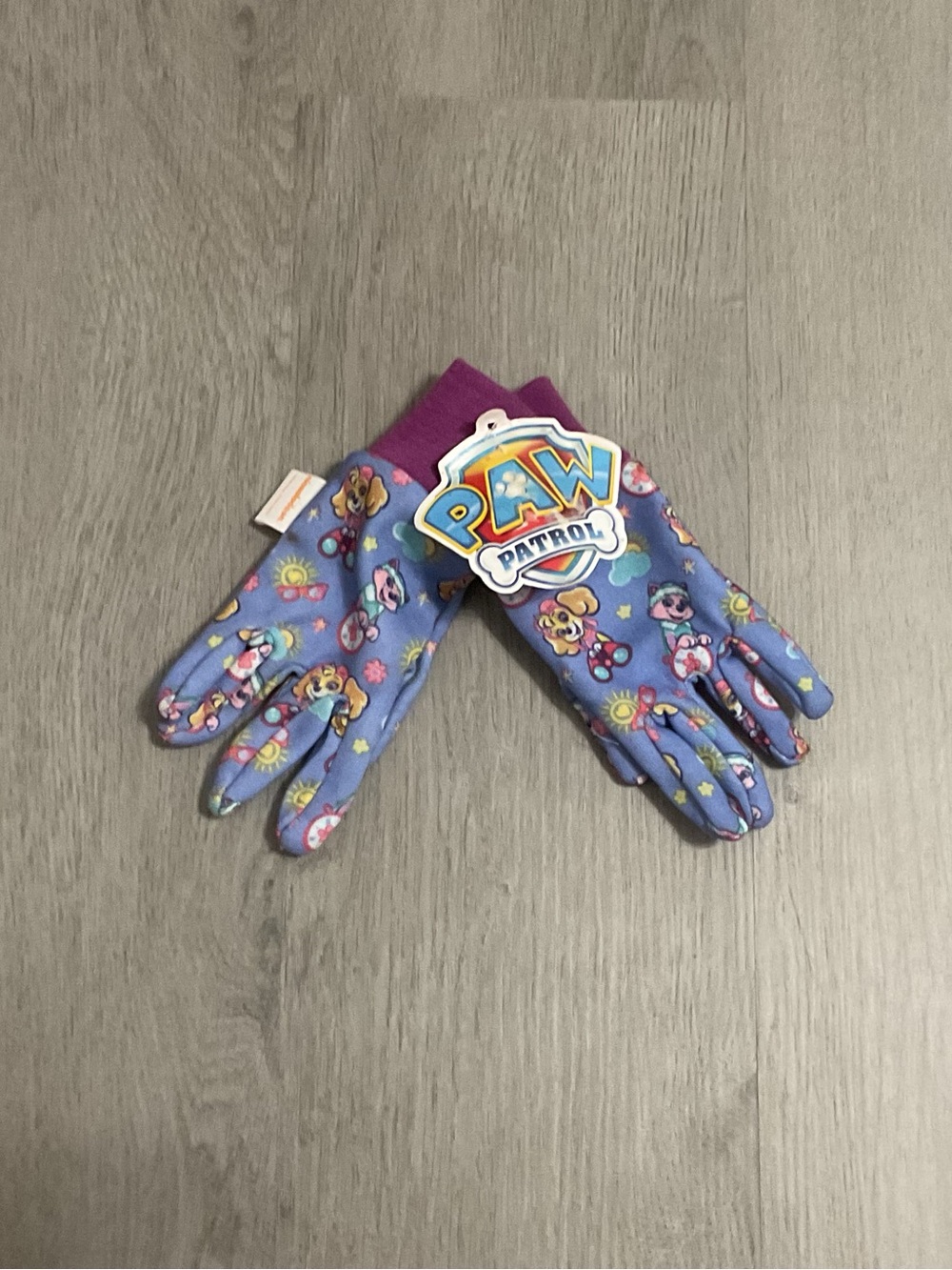 Paw Patrol Blue and Purple Kids Gloves with Character Print